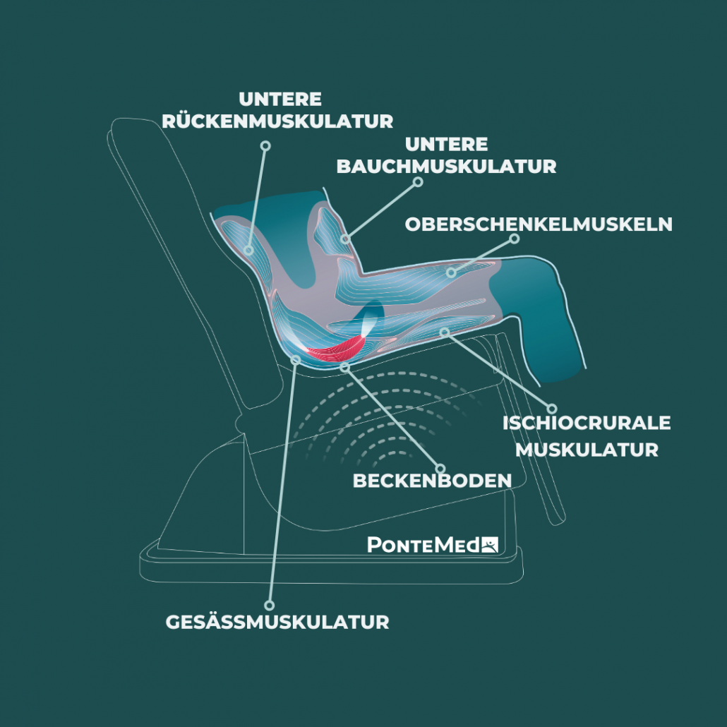 PelviPower Beckenbodenstuhl: trainiert Beckenboden- und Rumpfmuskulatur